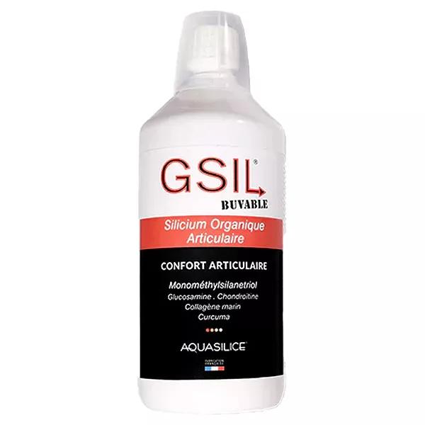 Aquasilice GSIL Monometilo Solución Oral Articular 1L