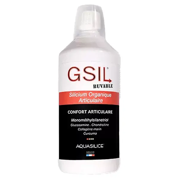 Aquasilice GSIL Monomethyl Articulaire Solution Buvable 1L