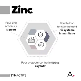 Aragan - Synactifs - Zincactifs® - Immunité & Peau - Zinc - 60 gélules