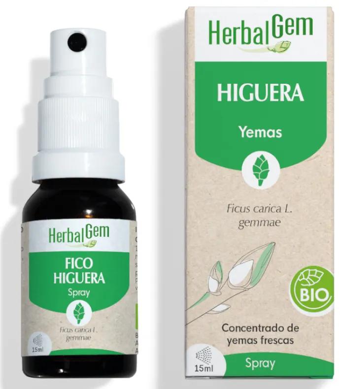 Herbalgem Fig Tree Bio Spray 15 ml