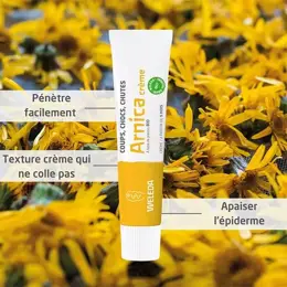 Weleda Arnica Crème Coups Chocs Chutes Bio 25g