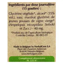 Herbalgem Macérat Concentré Vigne Vierge Bio 30ml