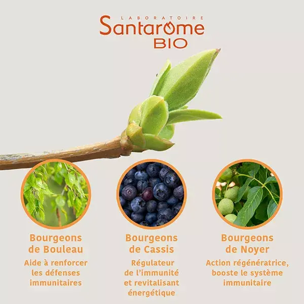 Santarome Bio - Tri Complexe de Bourgeons Allerus Bio - Flacon de 30ml