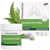 Pranarom Aromaforce Brustbalsam +6 Jahre Bio 80 ml