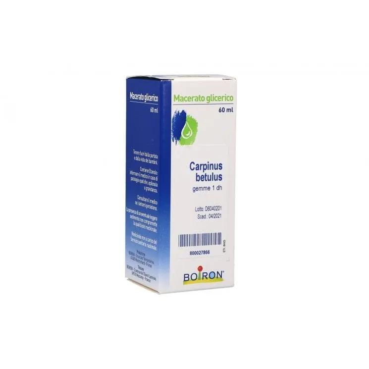 Boiron Carpinus Betulus 1DH Macerato Glicerico 60 ml