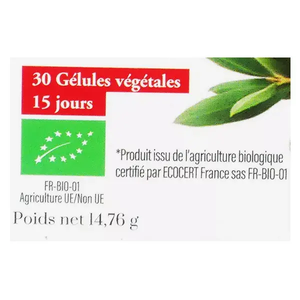 Dayang Phytothérapie Olivier Bio 30 gélules végétales