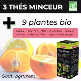 Nutrigée Boisson 3 Thés Minceur 300ml