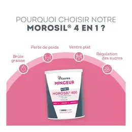 Vitavea Minceur 4 en 1 Morosil 400mg Métabolisme Brûle Graisse Cure 30 jours