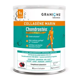 Chondrostéo+ Collagene Marino Confort Articulaire Gusto Fruits des Bois Poudre 280g