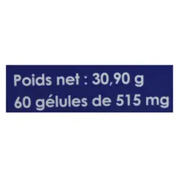 Nutrigée Microbiot Fort Minceur 60 gélules