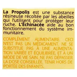 Propos' Nature Apithérapie Spray Buccal Propolis Verte et Echinacée Bio 15ml