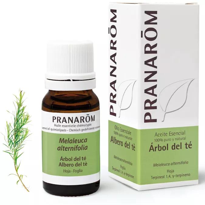 Pranarom Aceite Esencial de Árbol del Té 10 ml