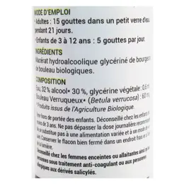 Oemine Macérât Glycériné Bouleau Bio 30ml