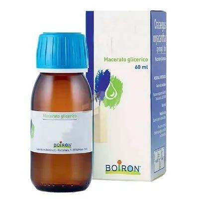 Boiron Corylus Avellana 1DH Macerato Glicerico 60 ml