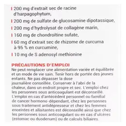 Phytalessence Artiphytol 40 gélules