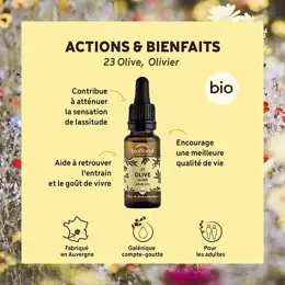 Biofloral Fleur De Bach 23 Olive Olivier Compte Gouttes Bio Demeter 20 ml