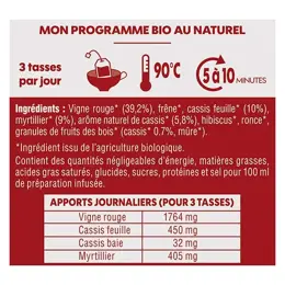 Biosens Infusion Jambes Légères Bio 30g