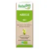 Herbalgem Macérat Concentré Airelle Bio 30ml