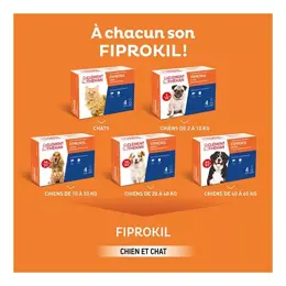 Clement Thekan Fiprokil Anti-Puces Anti-Tiques Chien 40-60kg 4 pipettes