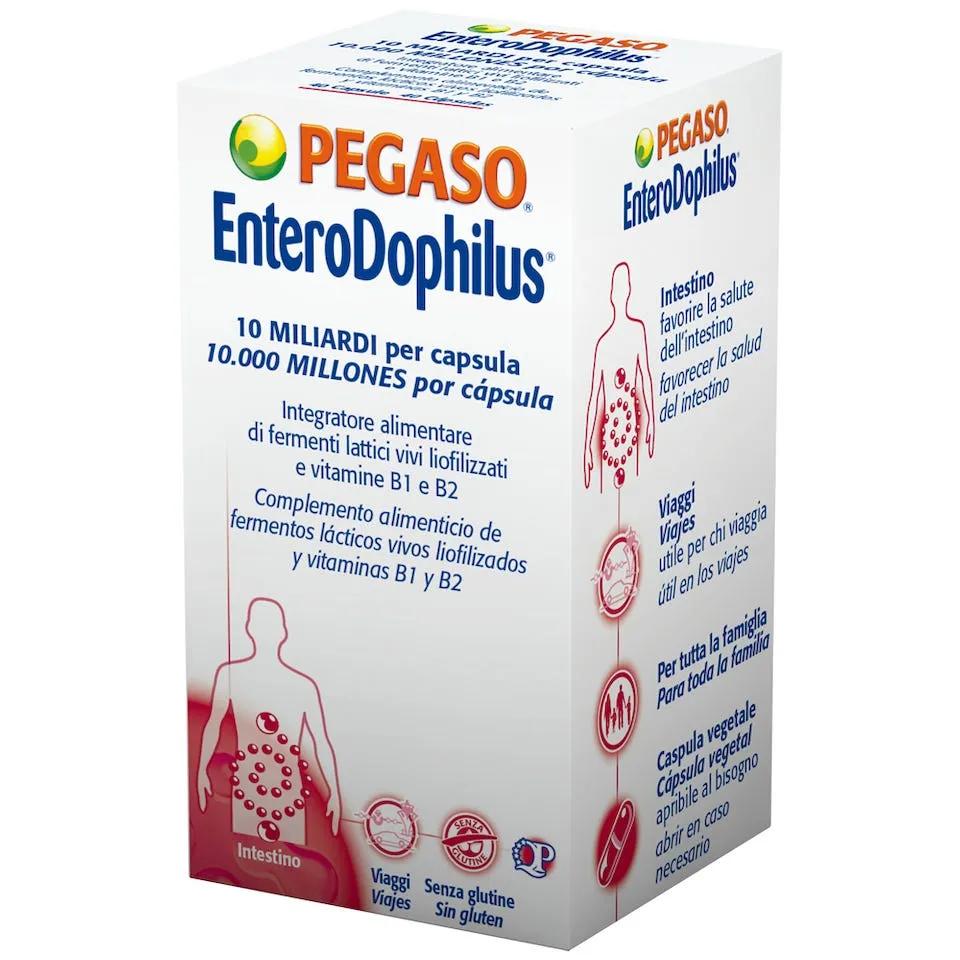 Enterodophilus 10 Integratore Di Fermenti Lattici 15 Capsule