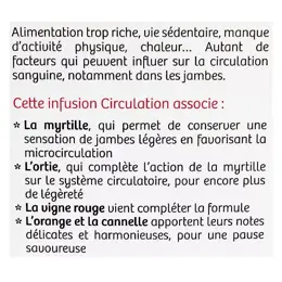 Vitavea - BioNutrisanté - Infusion Circulation - 20 sachets