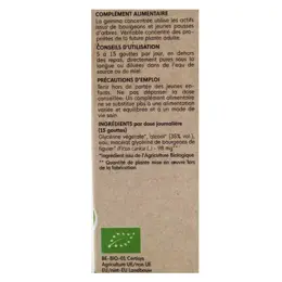 Herbalgem Macérat Concentré Figuier Bio 30ml