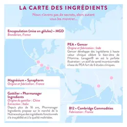 Nutri&Co Le Féminin Syndrome Prémenstruel Confort du Cycle 40 gélules