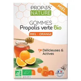 Propos' Nature Apithérapie Gomme de Propolis Miel Orange Bio 45g