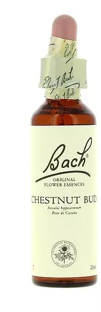 Flores de Bach 07 Chestnut Bud 20 ml