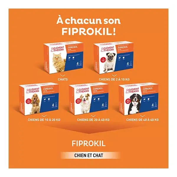 Clement Thekan Fiprokil Anti-Puces Anti-Tiques Chats 1kg et + 4 pipettes