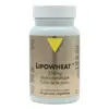 Vit'all+ Lipowheat™ 350mg Nutricosmétique Éclat 30 gélules végétales