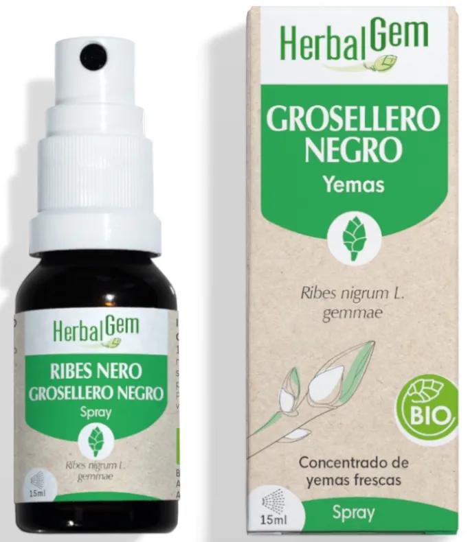 Herbalgem Biologische Zwarte Bes Spray 15 ml