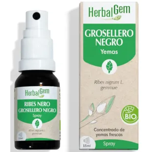 Herbalgem Organic Black Currant Spray 15 ml