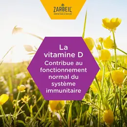 Zarbeil® Sirop Enfant Immunité Goût Fruits Rouges Flacon 120 ml