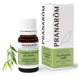 Pranarom Huile Essentielle Eucalyptus Radié 10ml