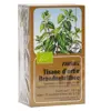 Salus Tisane Ortie Bio 15 sachets