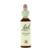 Flowers of Bach pre-count 20 ml
