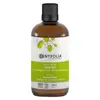 Centifolia Huile Végétale Vierge Neem Bio 100ml