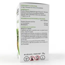 Arkopharma Arkogélules Ananas 45 gélules