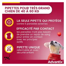 Advantix Chien Solution Antiparasitaire Très Grande Race 40 à 60kg 6 pipettes