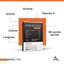 Aragan - Synactifs - Dynactifs® - Anti-Fatigue - Ginseng, Acérola - 30 gélules