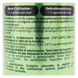 Vit'all+ Dong Quai 300mg 60 gélules végétales