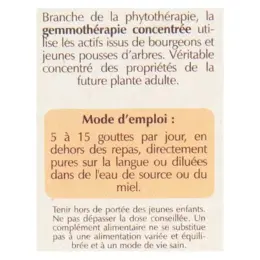 Herbalgem Complexe de Gemmothérapie Mémogem Mémoire Bio 30ml