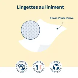 Biolane - Lingettes au Liniment Huile d'Olive - 64 unités