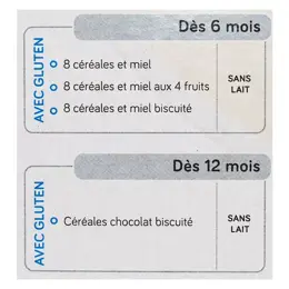 Nutribén 8 Céréales et Miel 4 Fruits +6m 300g