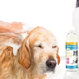 Vetoform Shampoing Usage Fréquent Spécial Chien 200ml