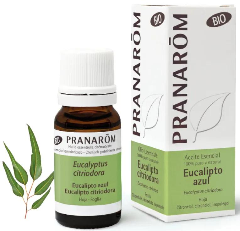 Eucalyptus blauwe etherische olie BIO Pranarom 10ml