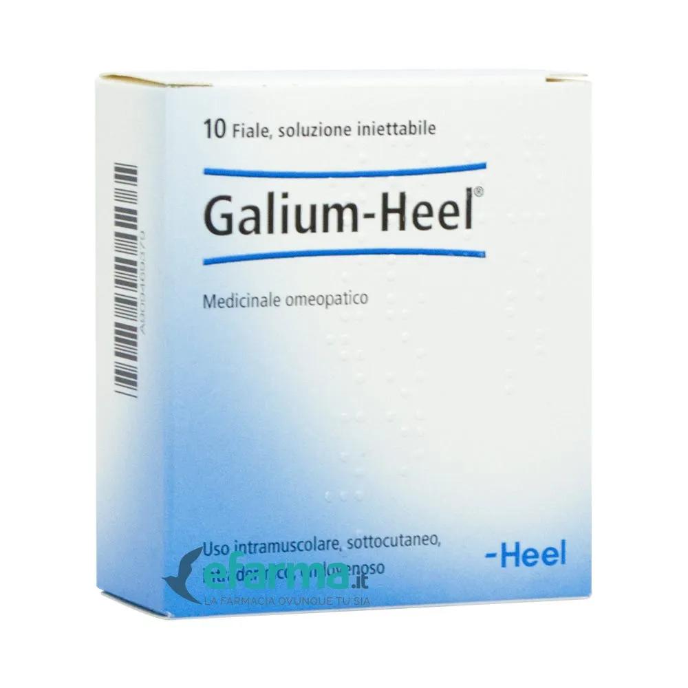 Guna-Heel Galium Soluzione Omeopatica Iniettabile 10 Fiale