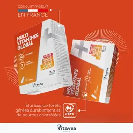 Vitavea Multi Vitamines Global Vitalité Equilibre nerveux 45 gélules