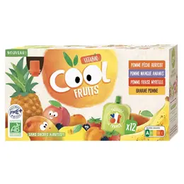 Vitabio Cool Fruits Multiparfums 4 Recettes Fraise Abricot Banane Mangue Bio 12 x 90g